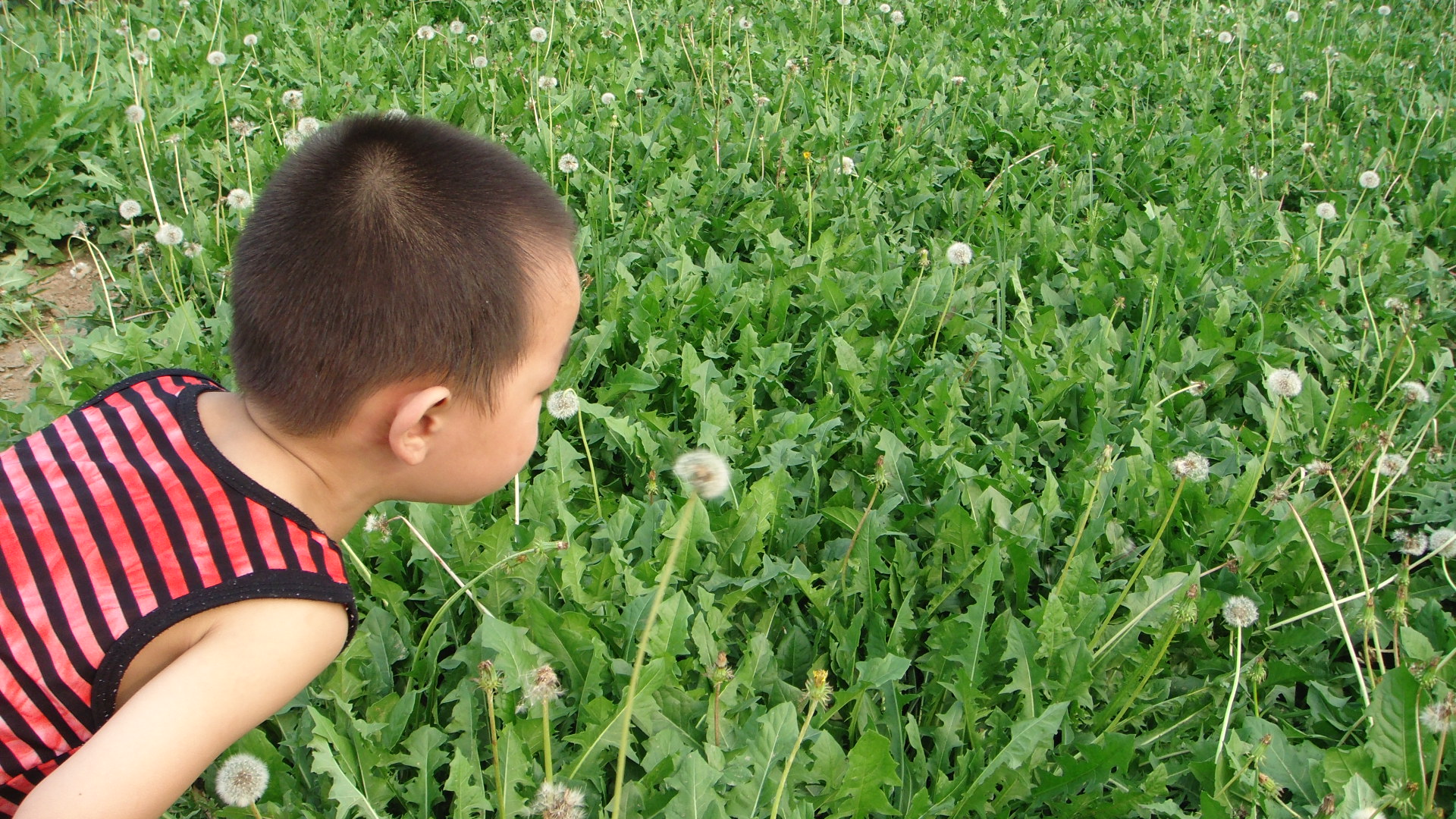 春耕购种要关注什么,春耕买农资关注什么
