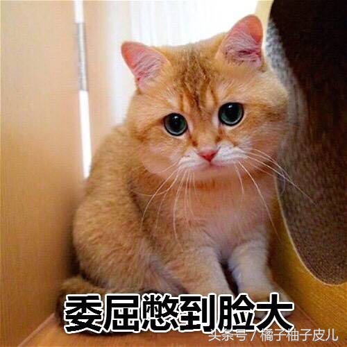 装修房子时没留窗户怎么办,厕所窗户关不住了怎么办小妙招