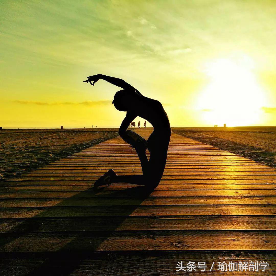 揭露瑜伽骗局,瑜伽骗局大揭秘电视剧