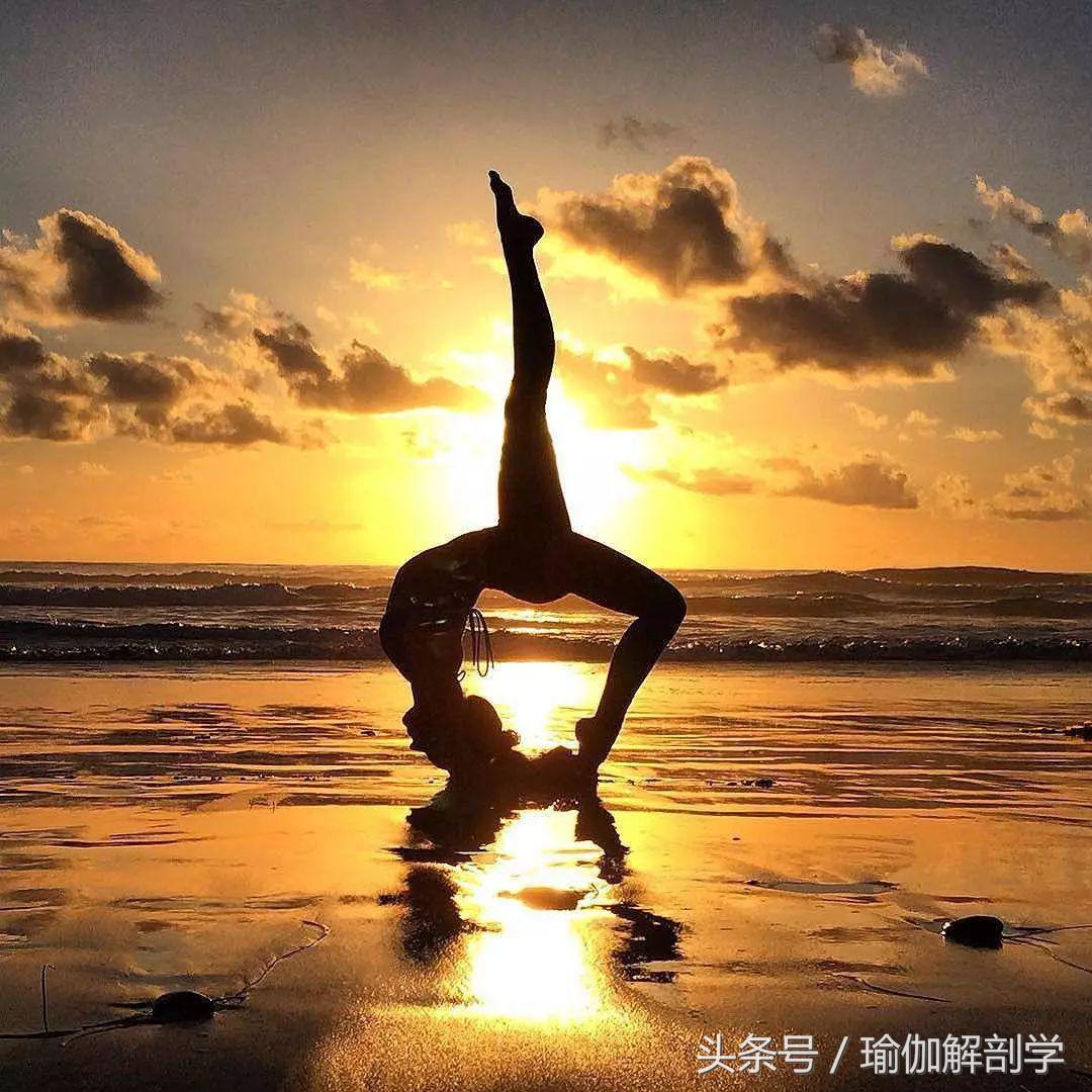 揭露瑜伽骗局,瑜伽骗局大揭秘电视剧