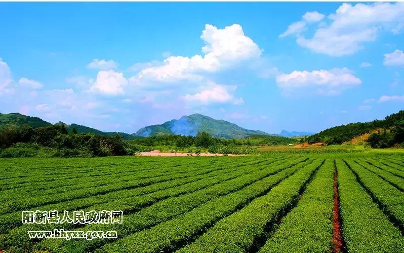 中国三年一评,三年评先进