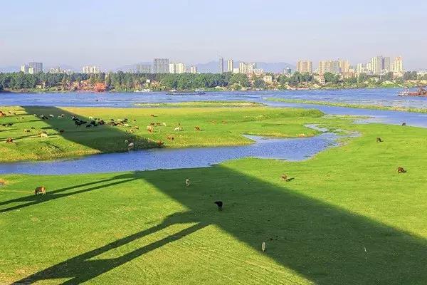 中国三年一评,三年评先进