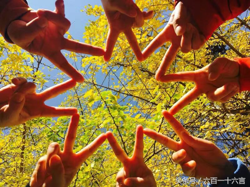 头条号手机摄影:爱拍美图分享第二期，欢迎围观，欢迎来稿！