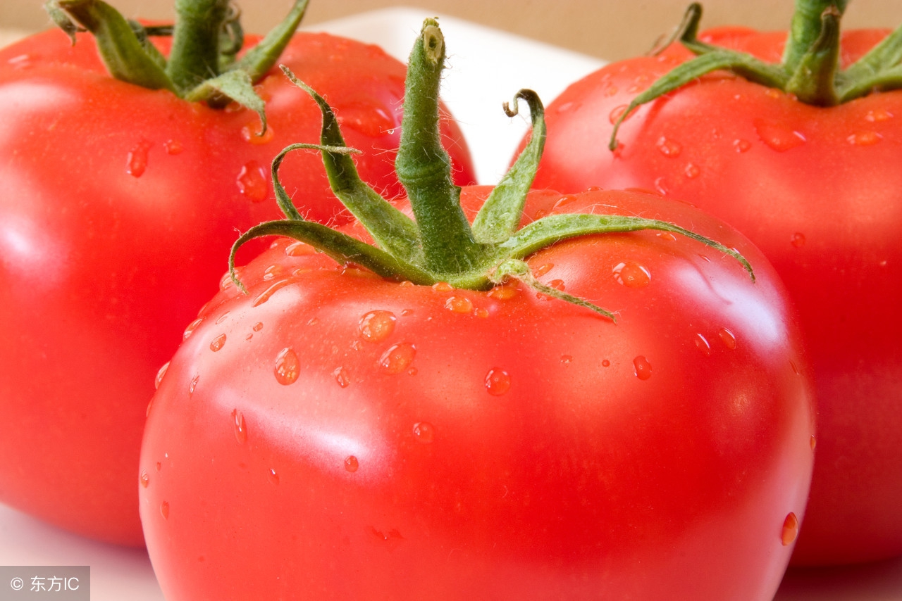 生活中的中性色素有哪些,生活中的色素一般用在哪里