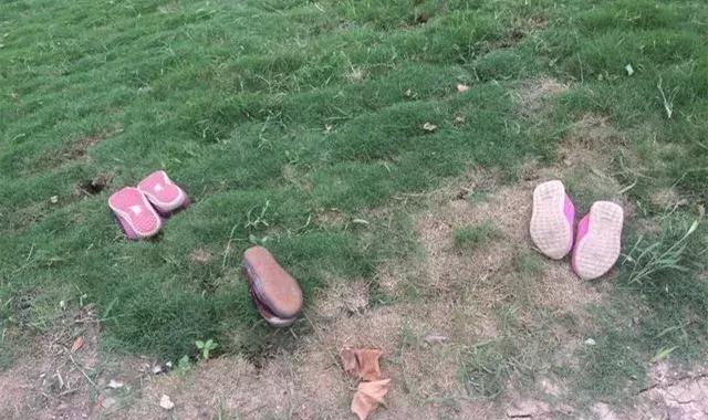 快乐的夹河滩（文/张凤鸣）