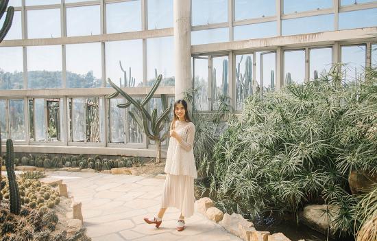 2018年杀破狼一周星座运势3.26-4.1