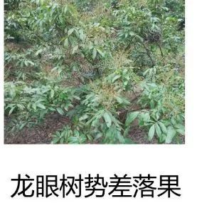 余教授讲座完整视频,余教授工艺大讲堂