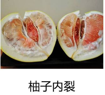 余教授讲座完整视频,余教授工艺大讲堂