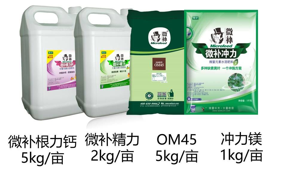 余教授讲座完整视频,余教授工艺大讲堂