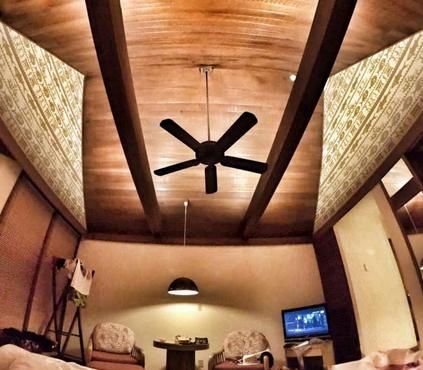 帕劳水母湖游玩攻略,帕劳特海岛旅游攻略