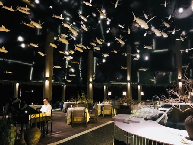 马尔代夫过渡酒店推荐,马尔代夫两大两小酒店推荐