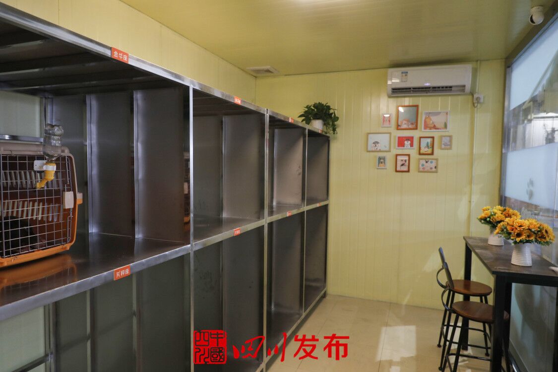 川航宠物机票,川航宠物托运怎么预订