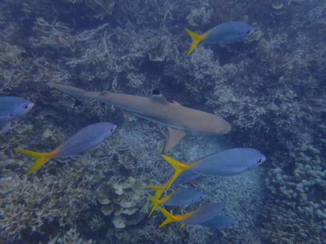 和闺蜜一起去水上世界,闺蜜一起游东湖公园