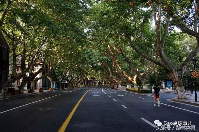 骞夸笢缁胯崼浣撹偛閮滄灄,閮滄灄棰嗚缁胯尩鑱旂洘