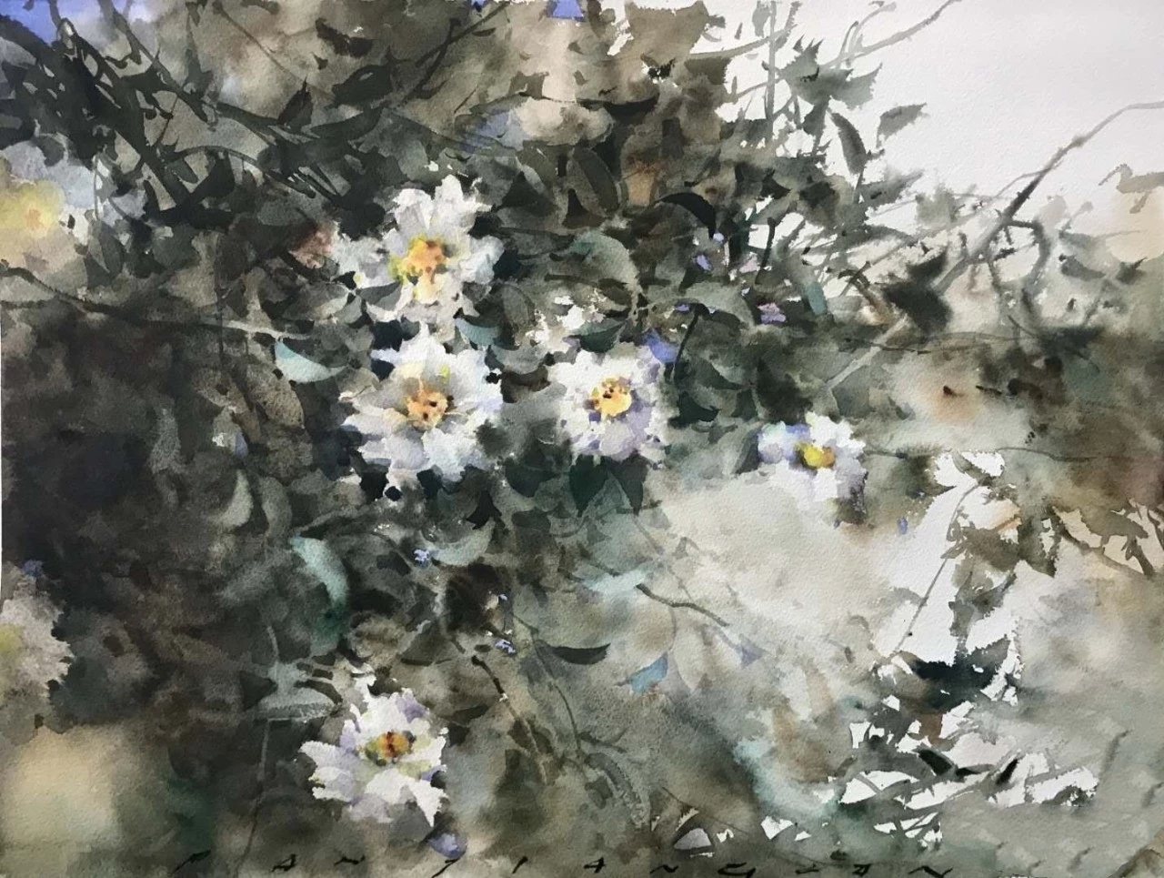 一组水彩,治愈型水彩作品