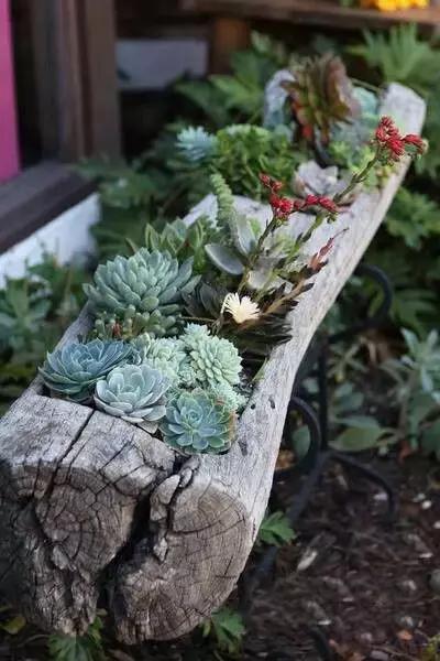春来花自青秋至叶飘零原文解释,春来花自青秋至叶飘零出自哪里