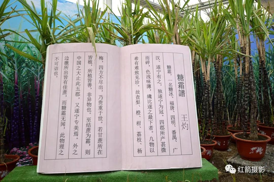 农业嘉年华北京,北京农业嘉年华延期