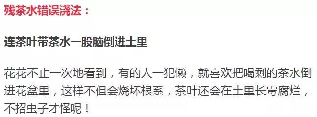 淘米水浇花容易起虫子吗,淘米水浇花会生虫子怎么办