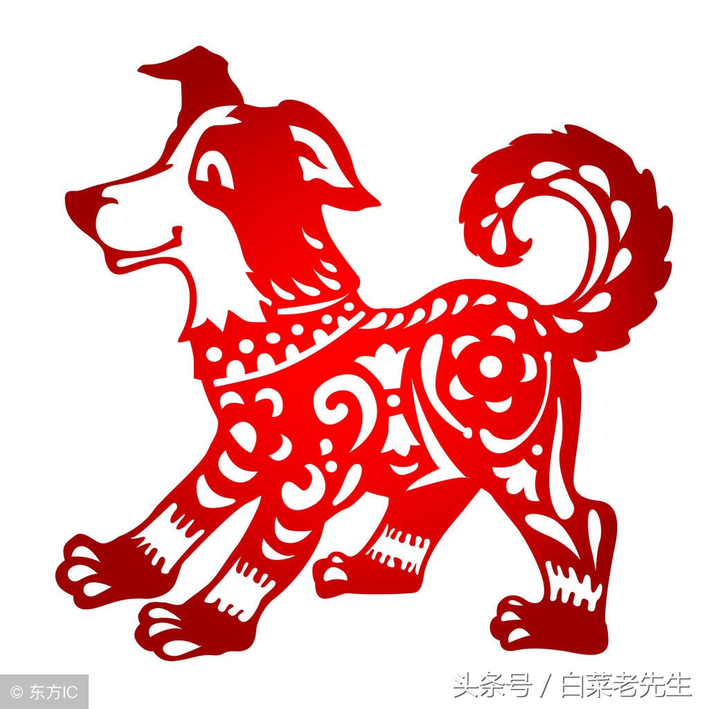 梦见十二生肖全部出现,梦中梦预示着什么生肖