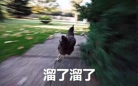 你被骗了手绘版,你被骗了简笔画