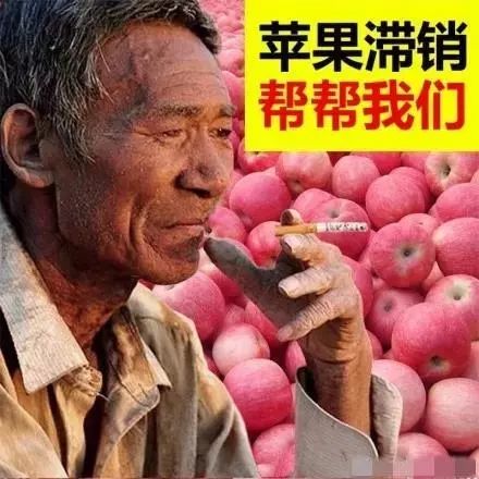 你被骗了手绘版,你被骗了简笔画