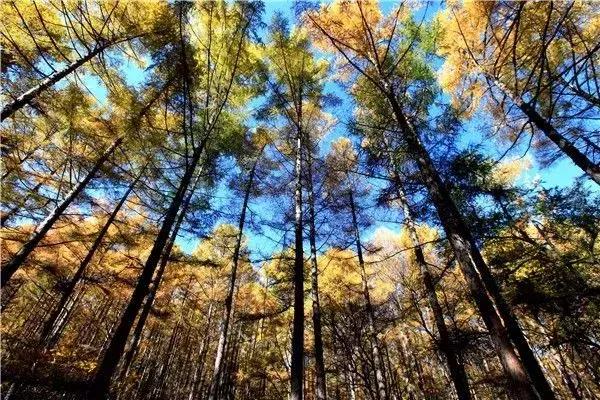 瀵逛笉璧锋垜鍔濅綘鍒潵骞垮窞,瀵逛笉璧锋垜鍔濅綘鍒潵娣卞湷