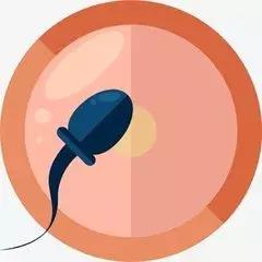 二胎后如何修复子宫,生娃后如何恢复子宫