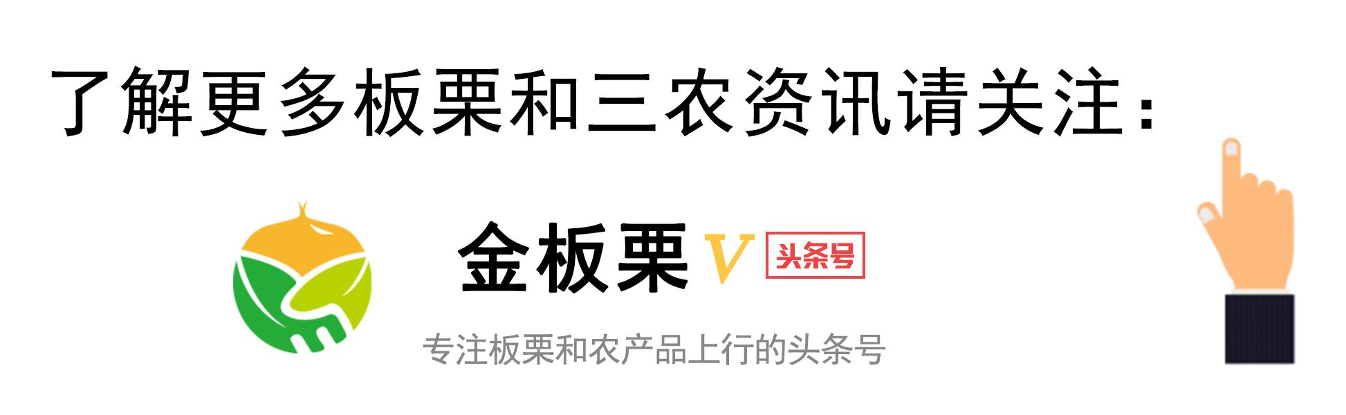 巴旦木仁就是扁桃仁吗,巴旦木就是扁桃仁么