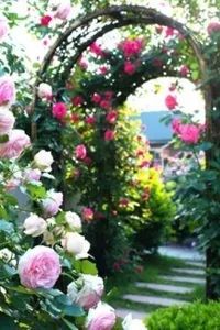 苏州南京上海杭州自由行旅游攻略,南京苏州周末两日游攻略