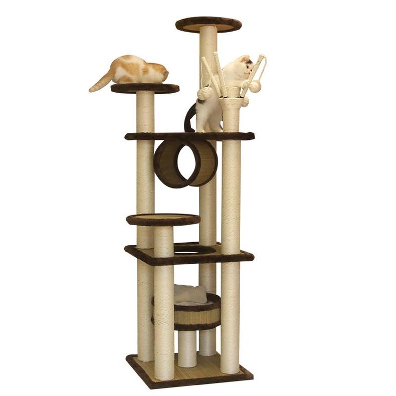 养猫家里不能有哪些东西 (家里养猫的应该知道哪些小技巧)