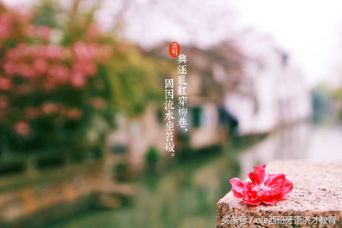 中西双语：如何优雅的用西班牙语介绍清明节，安利外国友人去踏青