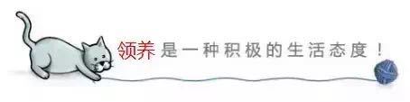 不堪入目，暗访喵届吸毒场所，竟……