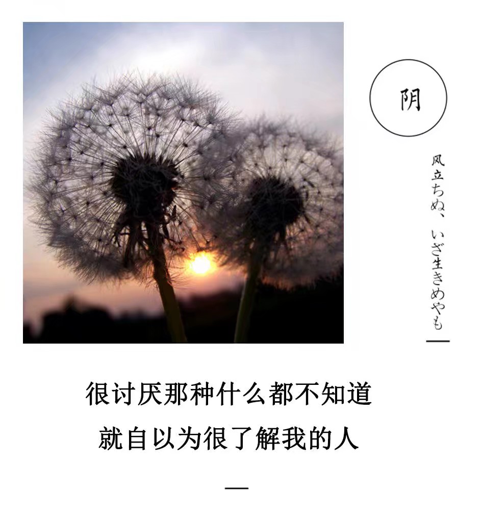 壁纸原图拿走不谢,壁纸照片没有了但还想要怎么办