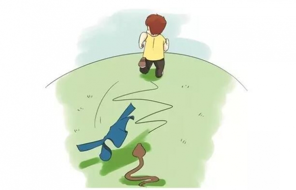 遇到毒蛇怎么办？专业知识还是需要的！