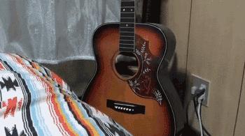 吉他教学入门零基础句子,吉他学习基础知识