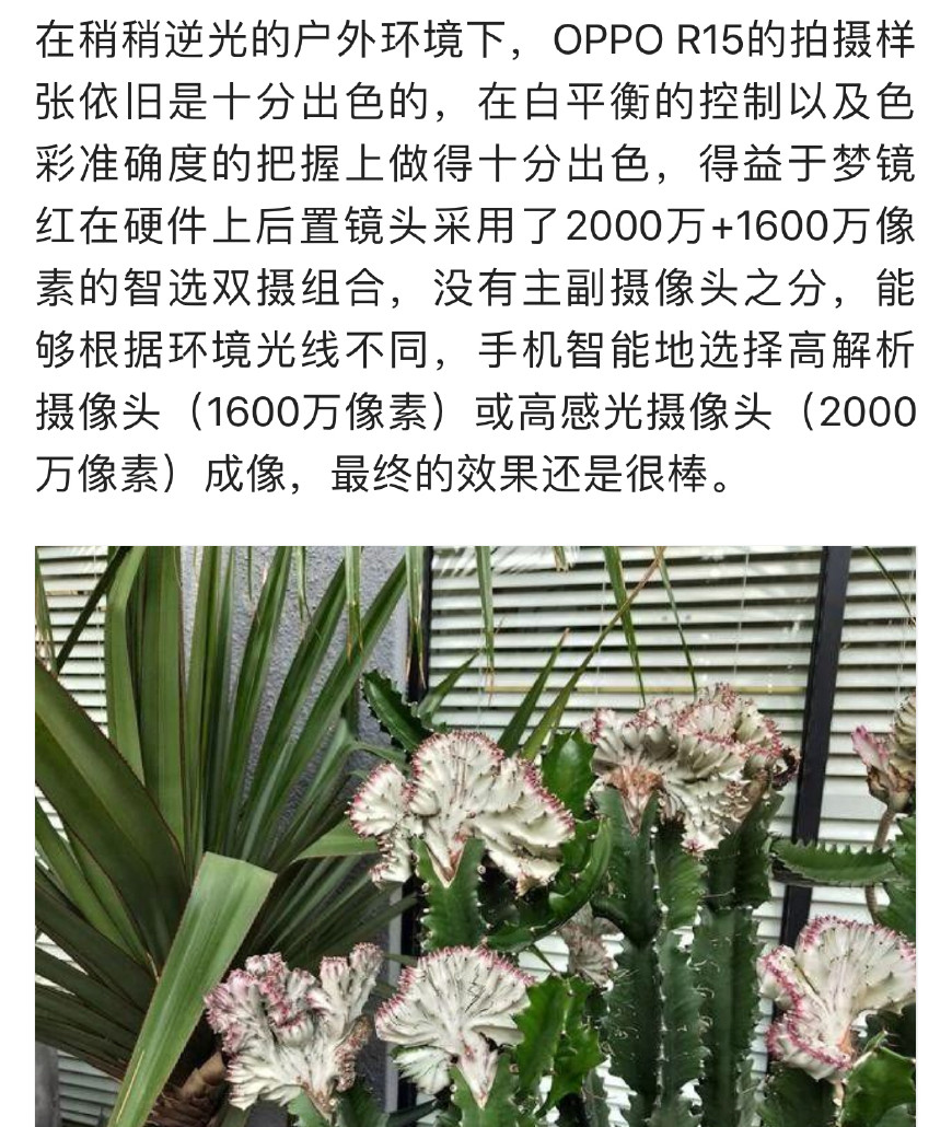 现在oppor15还值得购买吗,oppor15目前还值得购买吗