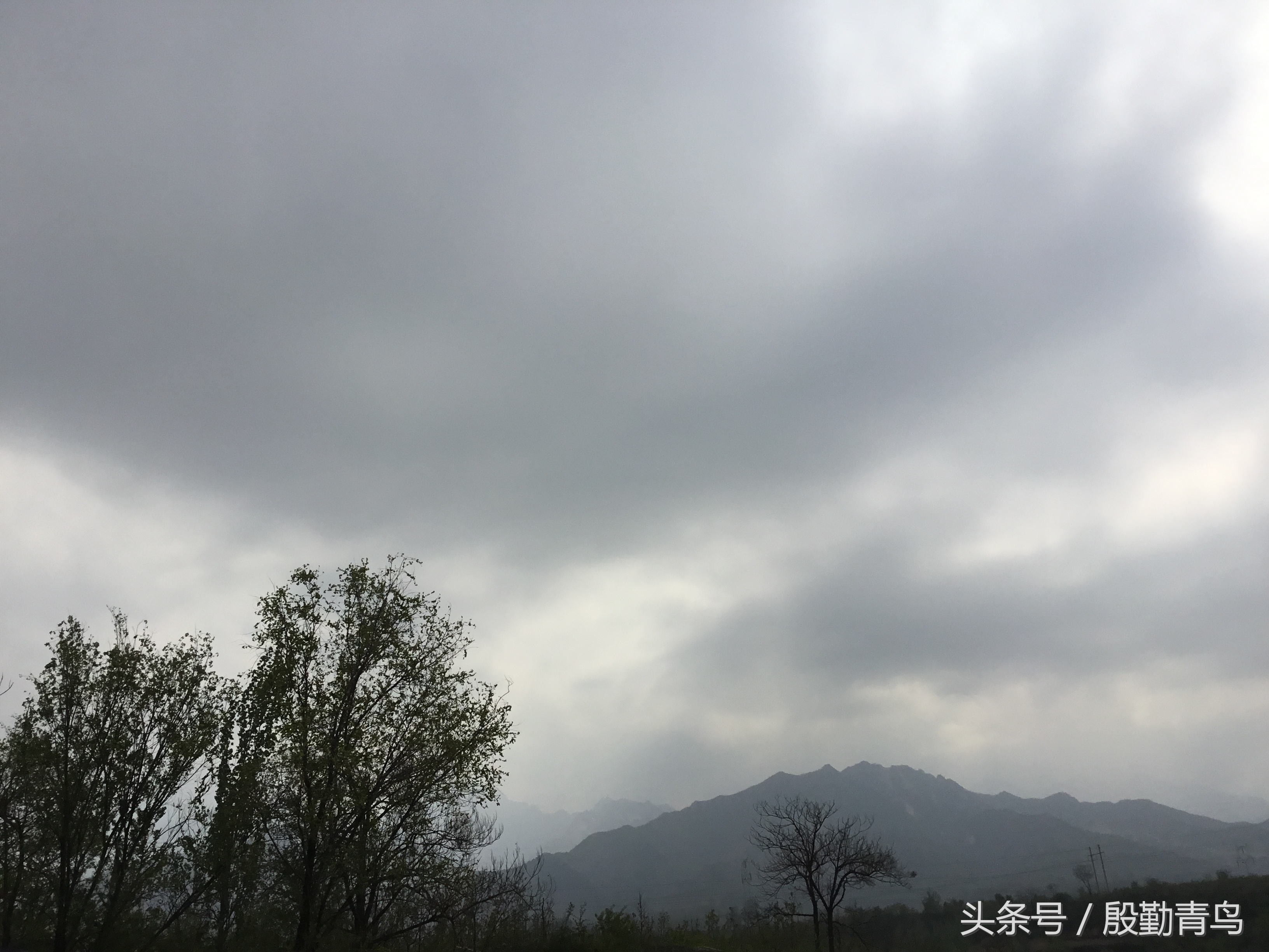 灵宝故县盘西庙会,灵宝市各乡镇庙会