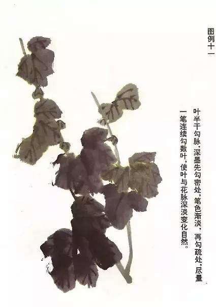 怎样画菊花的最简单画法,怎么样画菊花简单画法