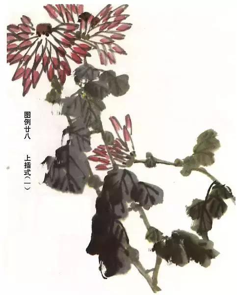 怎样画菊花的最简单画法,怎么样画菊花简单画法
