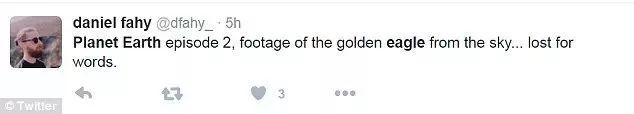 bbc承认纪录片造假,bbc纪录片造假