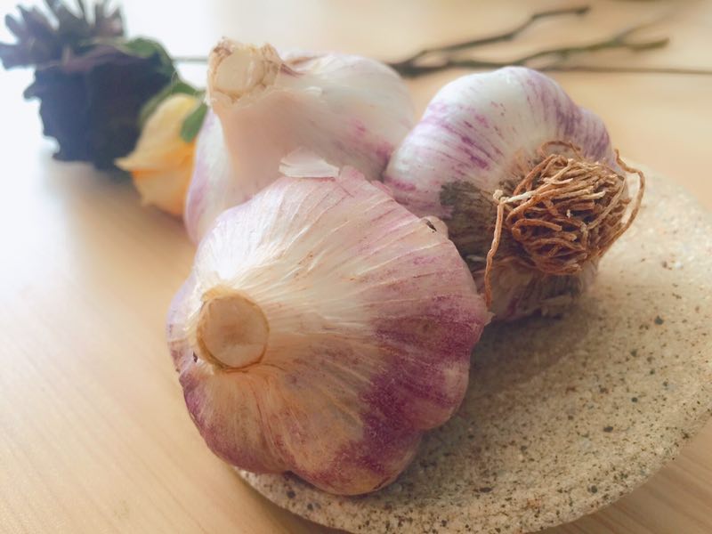 云南弥渡山货,大理州1-12月份山货