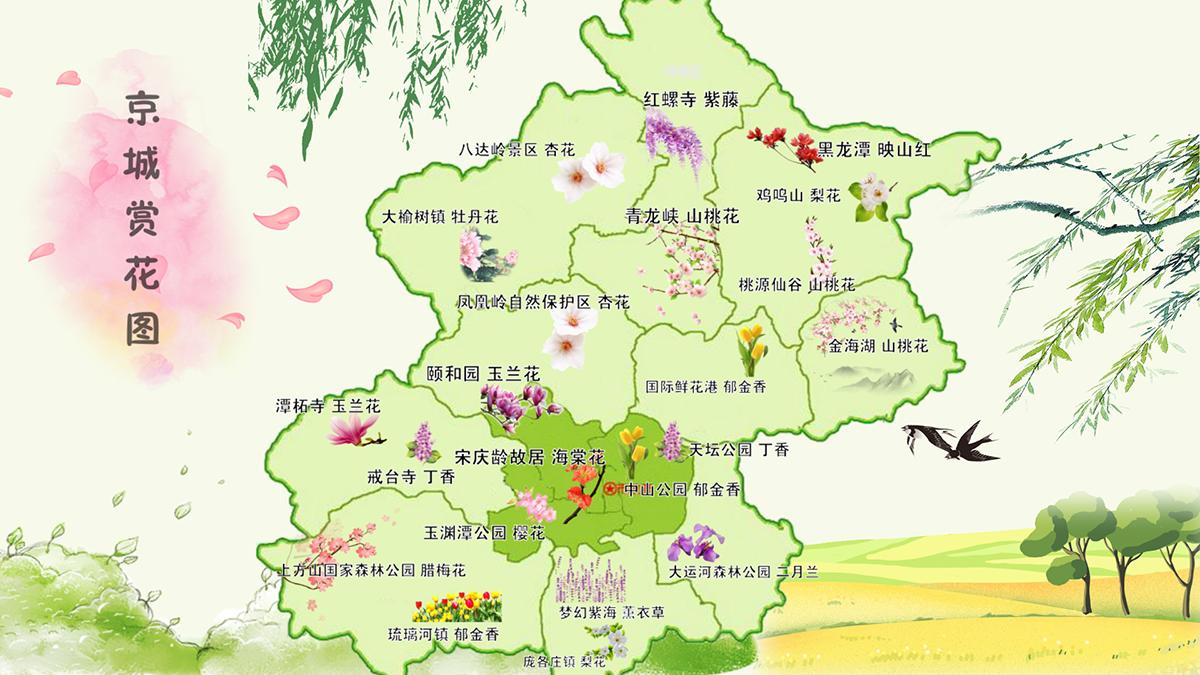 不知道去哪图片,京城赏花图片欣赏