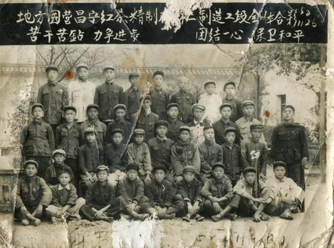 龙润茶一品熟茶,龙润茶唯一一款有机熟茶