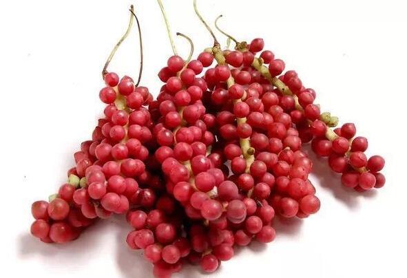 辽五味行情,辽五味起什么作用