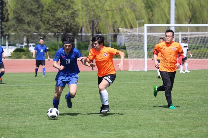 第八届北京国际电影节完整播放,第十二届北京国际电影节30位影人