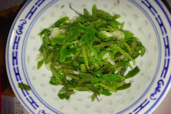 农村路边上常见的柳树叶子，竟然能吃还有治病的功效