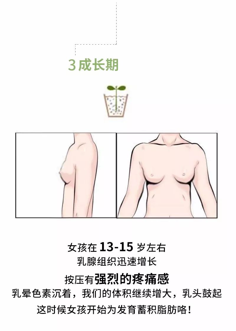穿什么样的内衣对乳房发育有好处,乳房发育到什么样可以穿内衣
