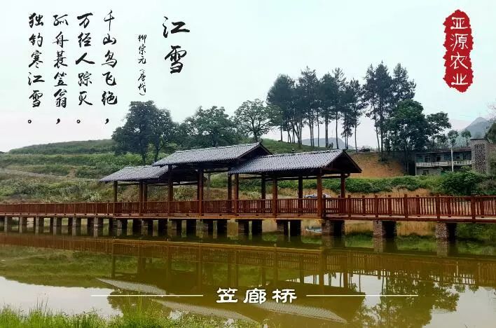 重庆风景让人一看心旷神怡的地方,秋日游重庆这里的景色别样好