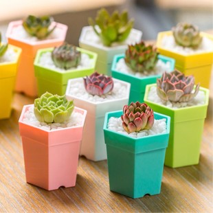 2019优惠券推荐,4月好货推荐