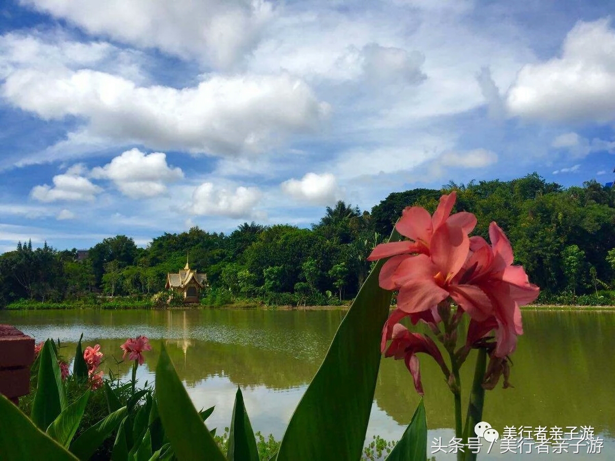 到版纳一定要体验一场泼水狂欢,云南景洪泼水节之旅